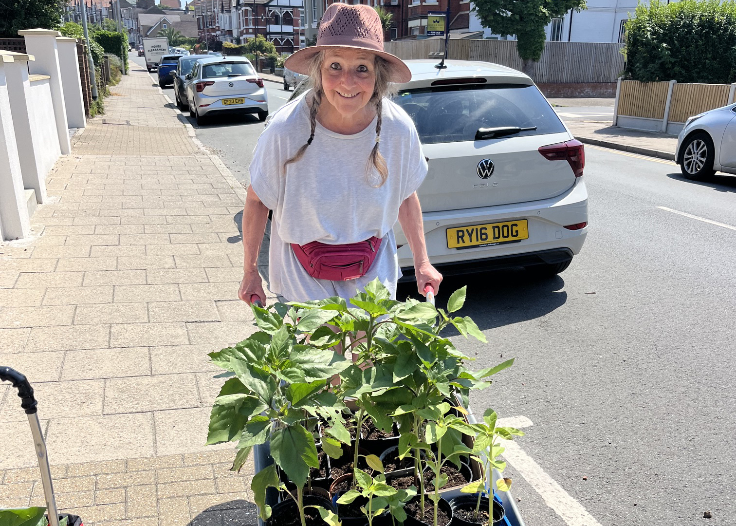 Sue with a trolley of sunflower plants on the way to Herne Bay Junior School Fair
